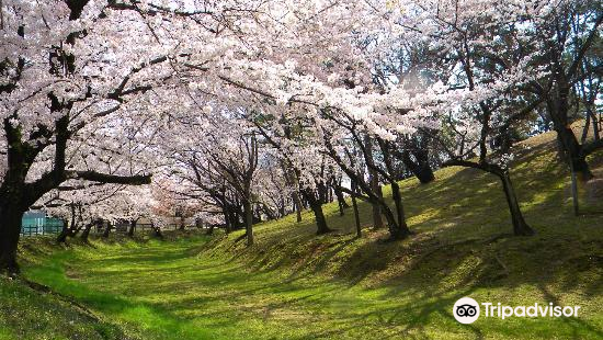 鶴舞公園圖片 名古屋景點的照片 Trip Moments 貼文
