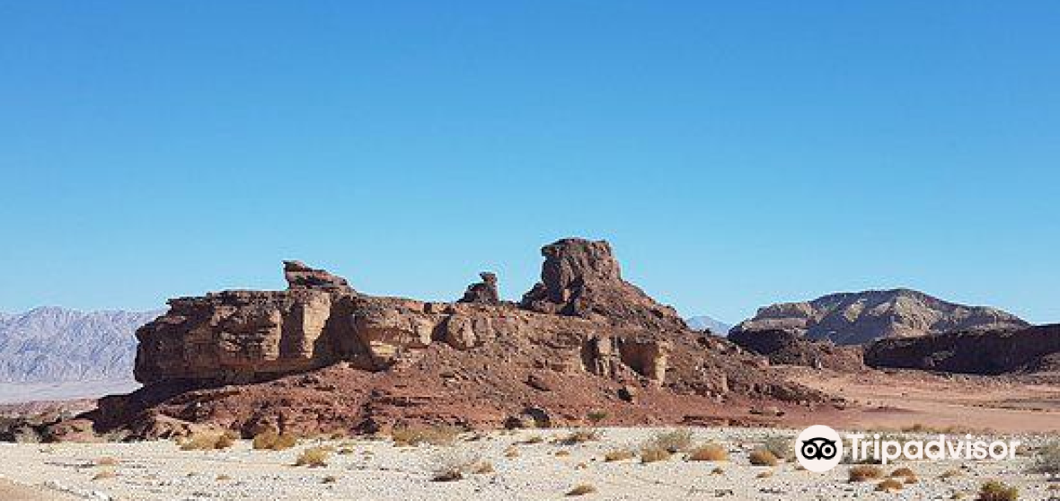 Hevel Eilot 2023 Top Things to Do Hevel Eilot Travel Guides Top