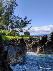 Laupahoehoe Beach Park