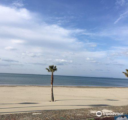 和歌山 磯の浦海水浴場 評判 案内 トリップドットコム