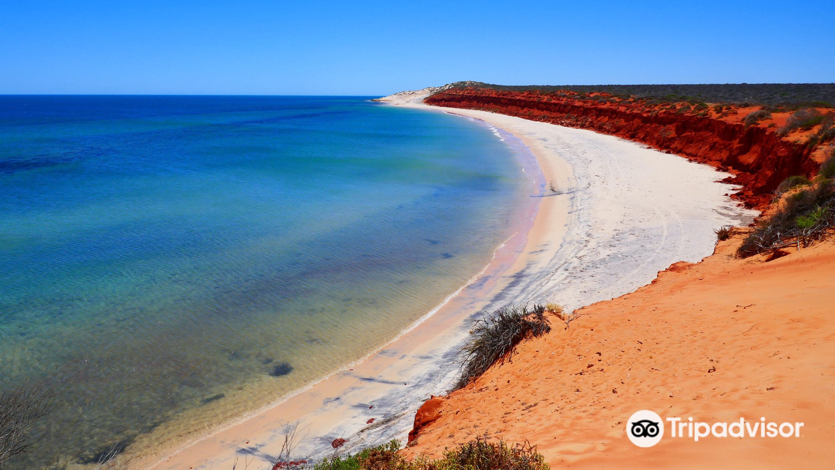 THE BEST Things to Do in Hamelin Pool - 2023 (with Photos) - Tripadvisor