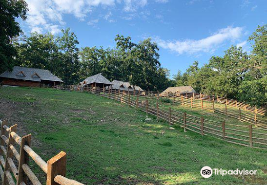 Zoo Parks Attractions 16 Great Attractions In Romania Travel With Trip Com