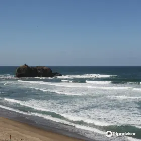 白兔海岸
