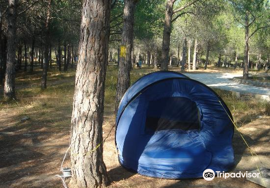 Kabatepe Orman Camp Travel Guidebook Must Visit Attractions In Eceabat Kabatepe Orman Camp Nearby Recommendation Trip Com Kabatepe Orman Camp Travel Guidebook Must Visit Attractions In Eceabat Kabatepe Orman Camp Nearby Recommendation Trip Com