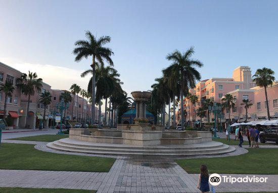 Mizner Park Fountain Nighttime Downtown Boca
