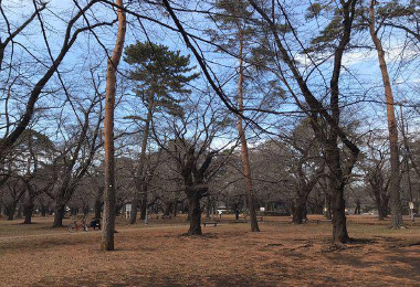 Saitama Prefecture Omiya Park 熱門景點照片