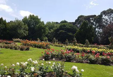 Dugald MacKenzie Rose Gardens รูปภาพAttractionsยอดนิยม