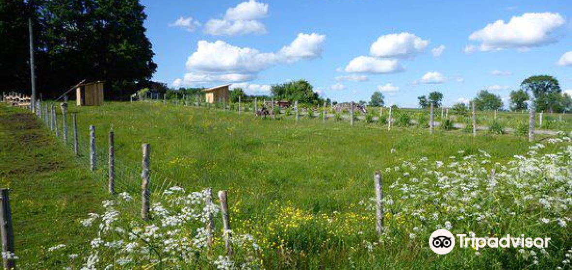 SainteAnnedelaRochelle Travel Guide 2023 Things to Do, What To