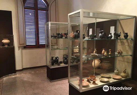 Museo Bologna - Buonsignori2