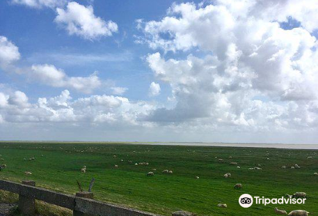 Wadden Sea National Park and World Heritage Site