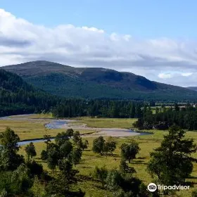 Linn O' Dee