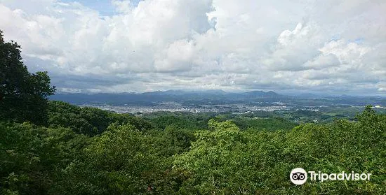 小笠山のレビュー 小笠山のチケット 小笠山の割引 小笠山の交通機関 所在地 営業時間 小笠山周辺の観光スポット ホテル グルメ Trip Com