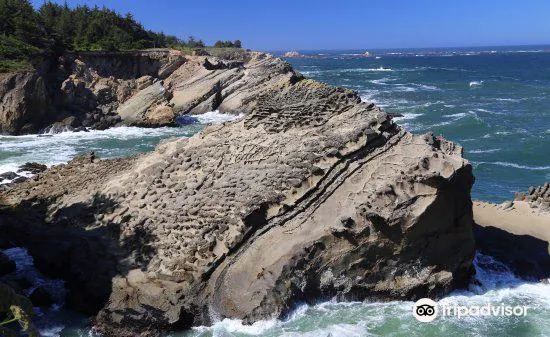 クース ベイ Shore Acres State Park 評判 案内 トリップドットコム