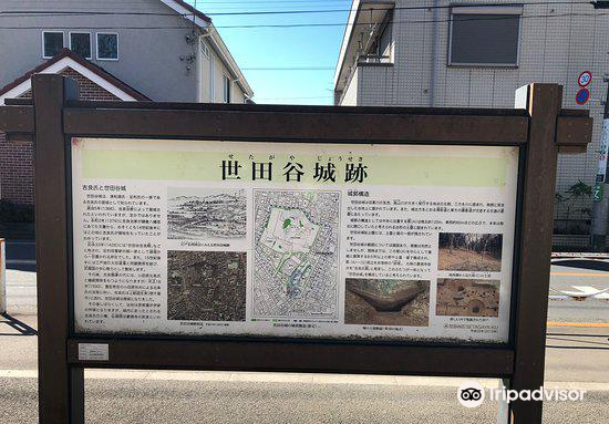 東京 世田谷城阯公園 評判 案内 トリップドットコム