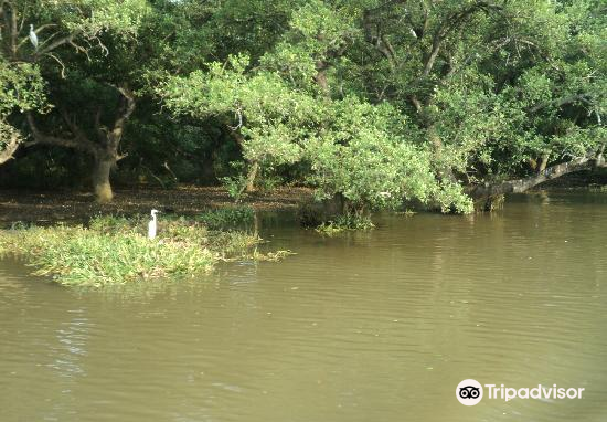 Coringa Wildlife Sanctuary attraction reviews - Coringa Wildlife Sanctuary tickets - Coringa Wildlife Sanctuary discounts - Coringa Wildlife Sanctuary transportation, address, opening hours - attractions, hotels, and food near Coringa Wildlife ... Coringa Wildlife Sanctuary attraction reviews - Coringa Wildlife Sanctuary tickets - Coringa Wildlife Sanctuary discounts - Coringa Wildlife Sanctuary transportation, address, opening hours - attractions, hotels, and food near Coringa Wildlife ...