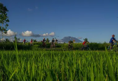 Bali Eco Cycling 熱門景點照片