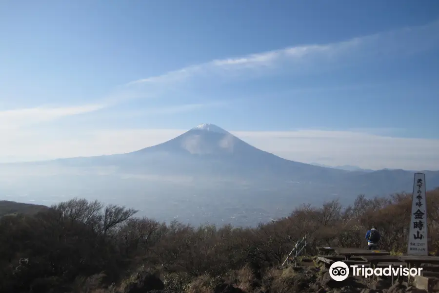 金時山