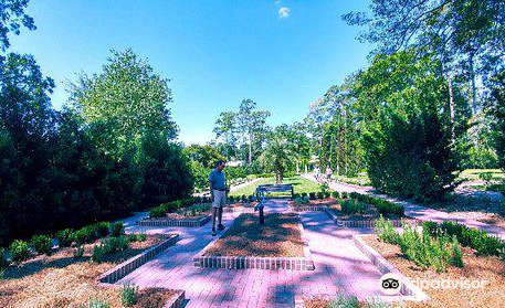 Mercer Arboretum & Botanic Gardens