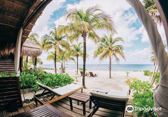 The Cabana Beach: Tickets, Prices, Reviews & Guide 