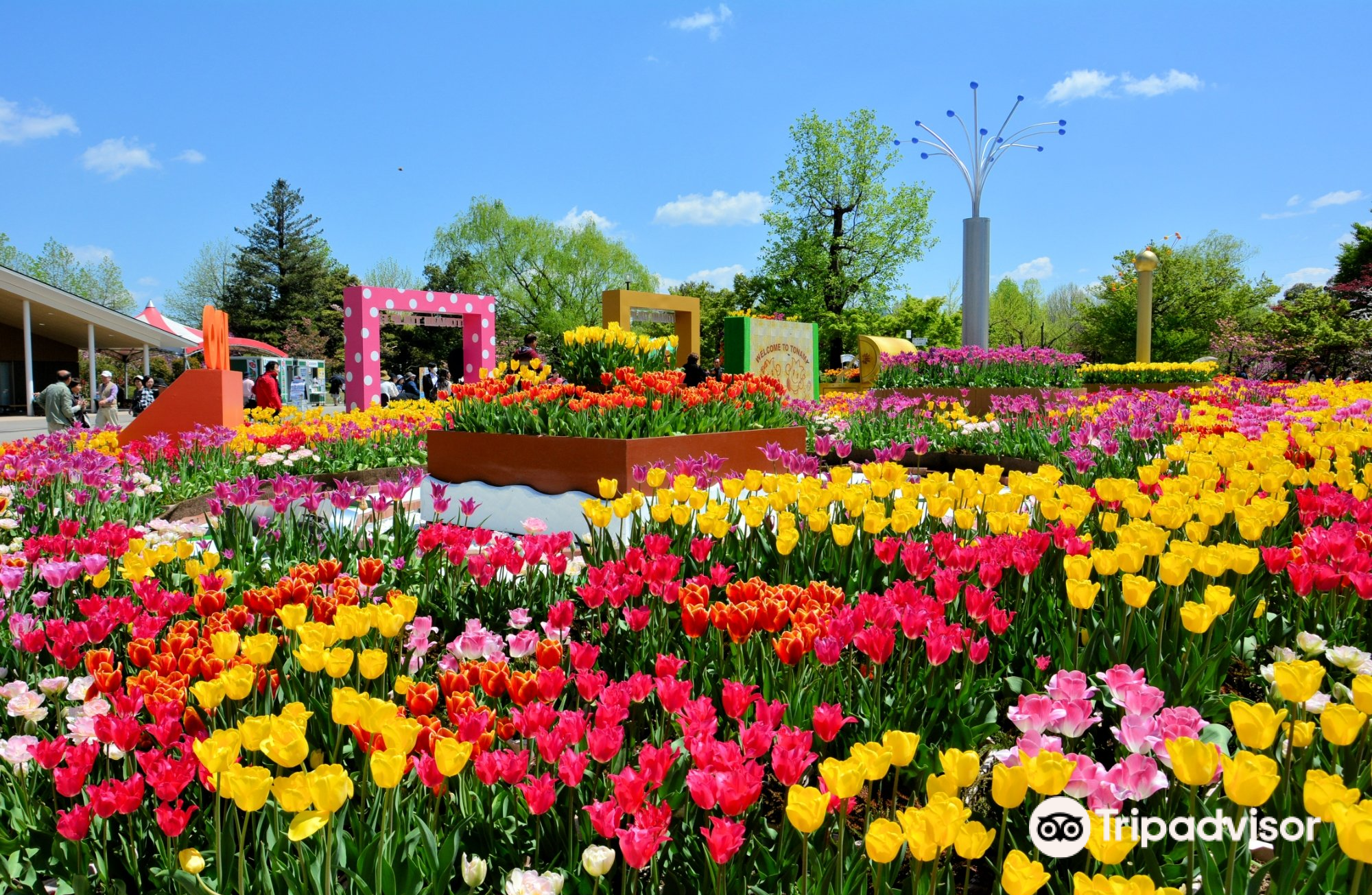 Tonami Tulip Park旅遊攻略指南 Tonami Tulip Park評論 Tonami Tulip Park附近推薦 Trip Com Tonami Tulip Park旅遊攻略指南 Tonami Tulip Park評論 Tonami Tulip Park附近推薦 Trip Com