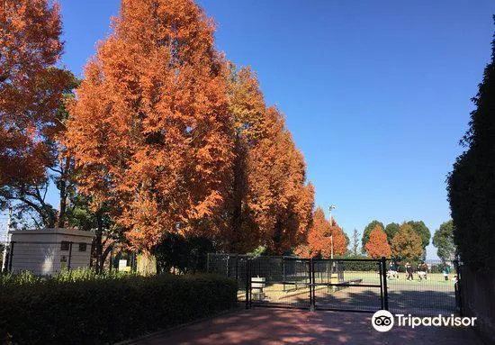 熊本 熊本県民総合運動公園陸上競技場 うまかな よかなスタジアム 評判 案内 トリップドットコム