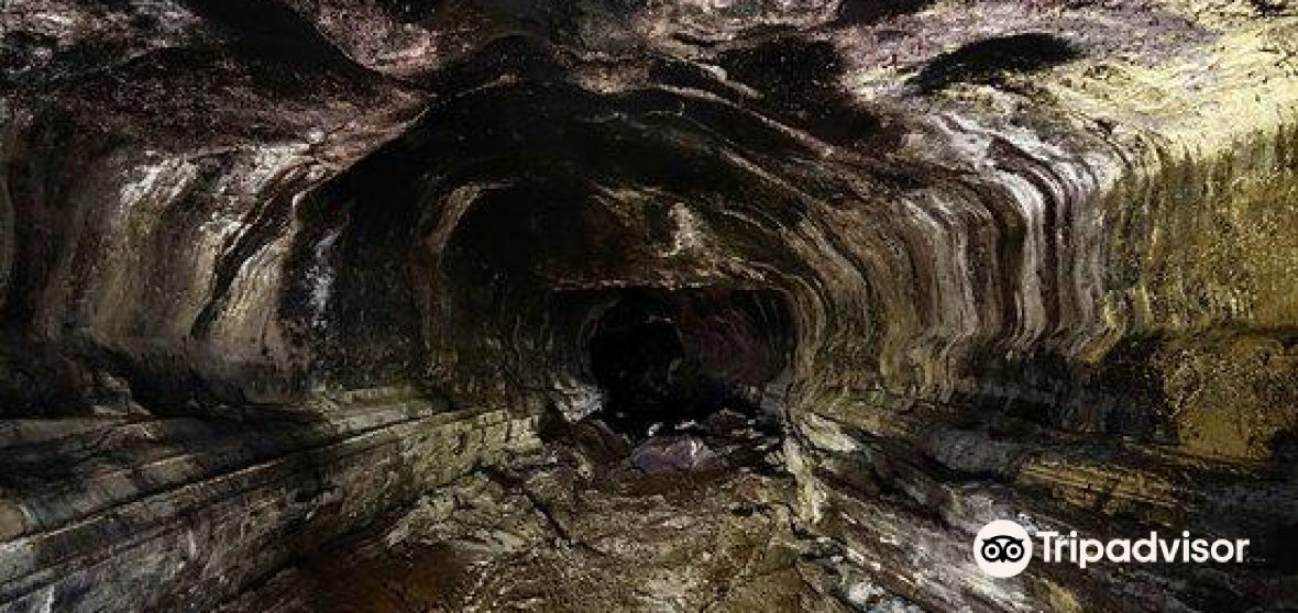 Kurtistown Travel Guide 2023 Things to Do, What To Eat & Tips