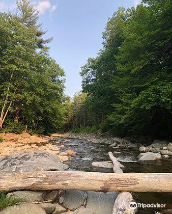 Mohawk Trail State Forest