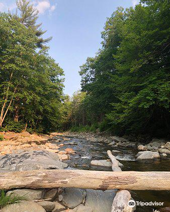 Escape to the Wild: Exploring the Enchanting Mohawk Trail State Forest