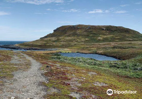 セント ルネアー グリキット Norstead Viking Village 評判 案内 トリップドットコム