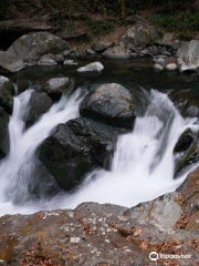 Rio savegre Waterfall