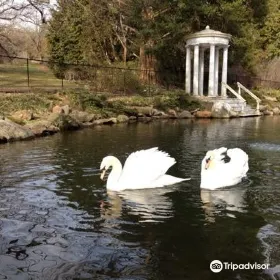 Morris Arboretum