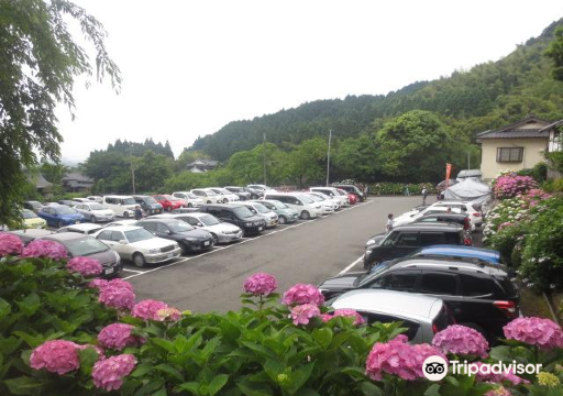 Kurume Garden Center Travel Guidebook Must Visit Attractions In Kurume Kurume Garden Center Nearby Recommendation Trip Com