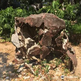 Jurassic Garden
