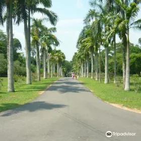Henerathgoda Botanical Garden