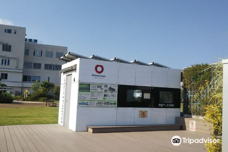 Toyoya Ecoful Town Travel Guidebook Must Visit Attractions In Toyota Toyoya Ecoful Town Nearby Recommendation Trip Com Toyoya Ecoful Town Travel Guidebook Must Visit Attractions In Toyota Toyoya Ecoful Town Nearby Recommendation Trip Com