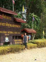 อุทยานแห่งชาติทุ่งแสลงหลวง