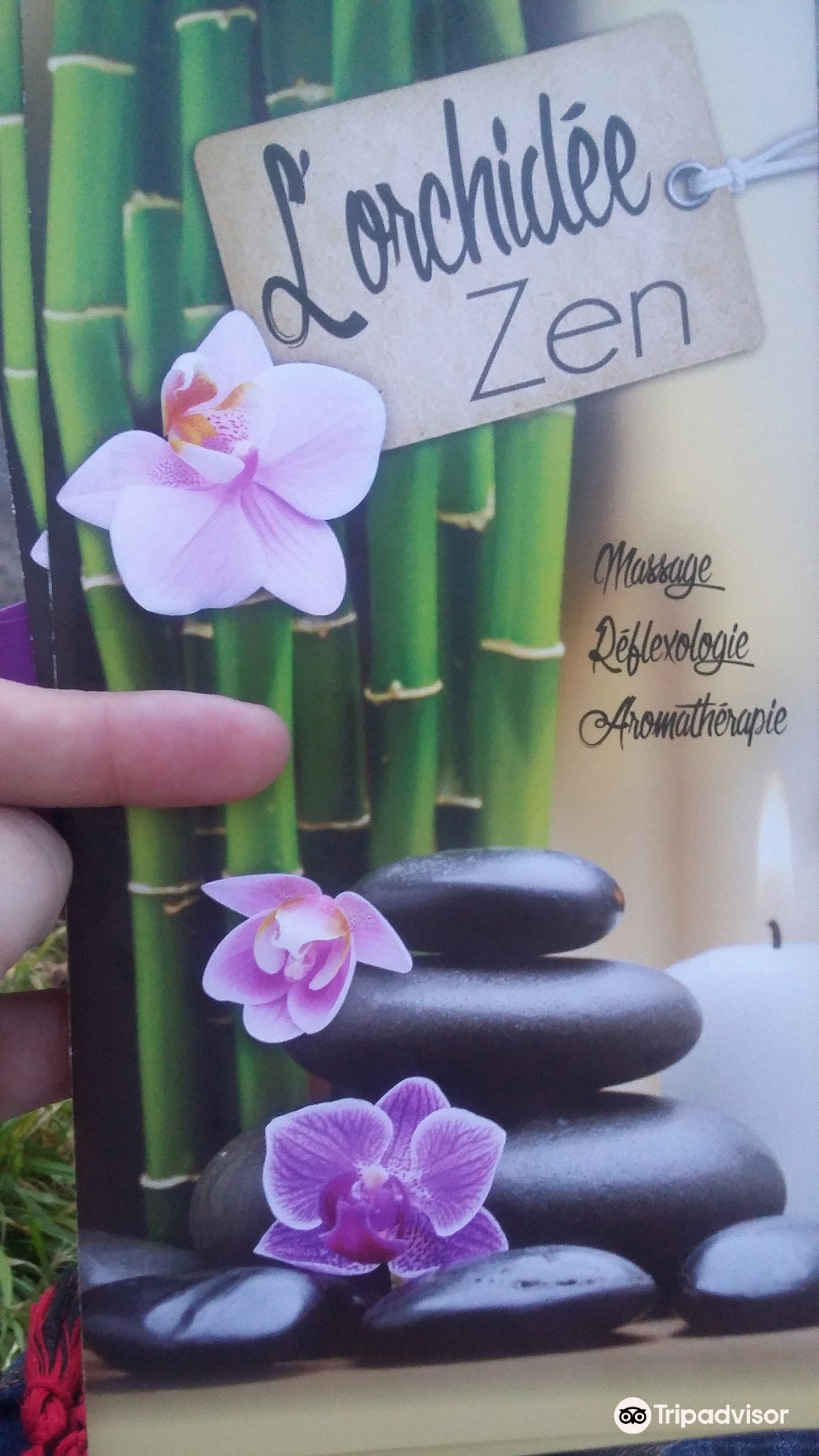 L Orchidee Zen Travel Guidebook Must Visit Attractions In Beziers L Orchidee Zen Nearby Recommendation Trip Com