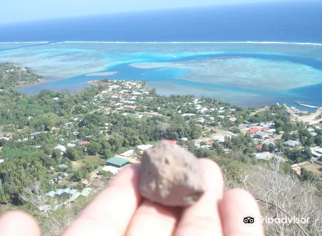 テティアロア Tetiaroa Island 評判 案内 トリップドットコム