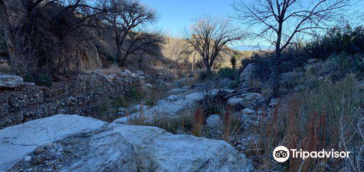 10 Best Things to do in Alamogordo, Otero County - Alamogordo travel