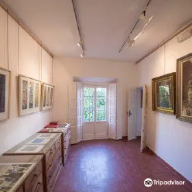 Painter Amalio Museum