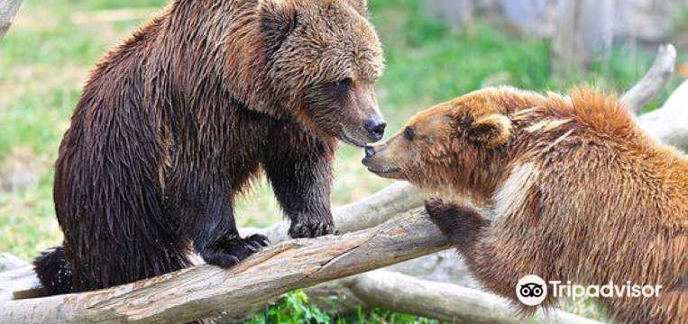 10 Best Things To Do In Zhytomyr Oblast Ukraine Zhytomyr Oblast Travel Guides 21 Trip Com