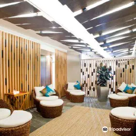Stephanies Ocean Spa