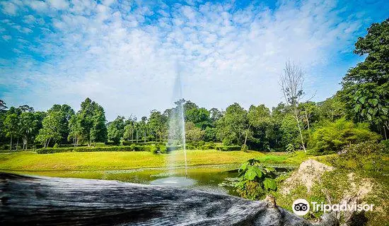 10 Best Things To Do In Shah Alam Selangor Shah Alam Travel Guides 2021 Trip Com