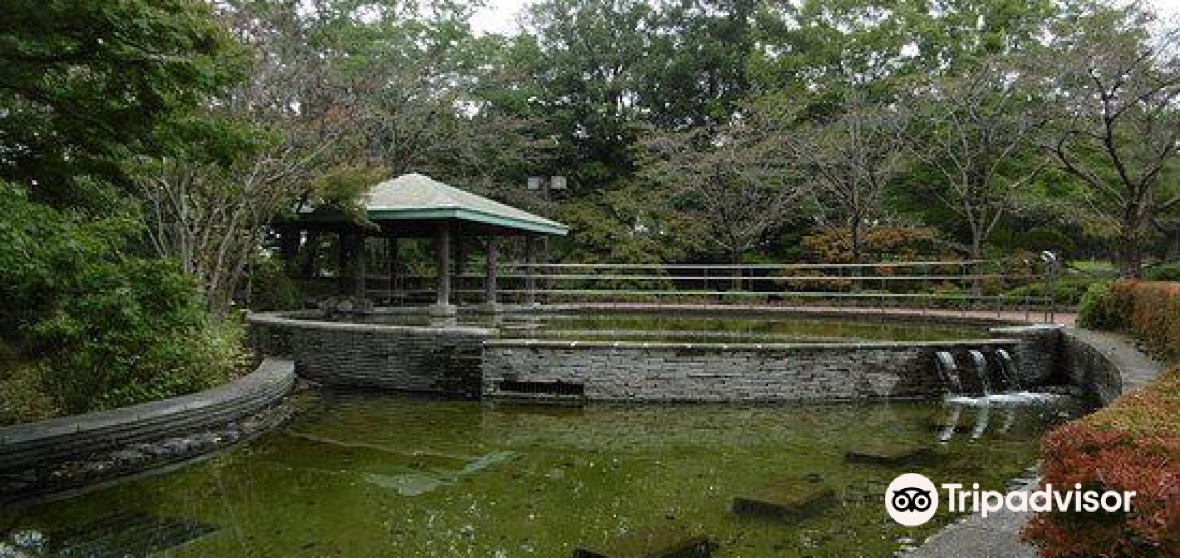 絶対に行くべき佐野の観光スポット トリップドットコム