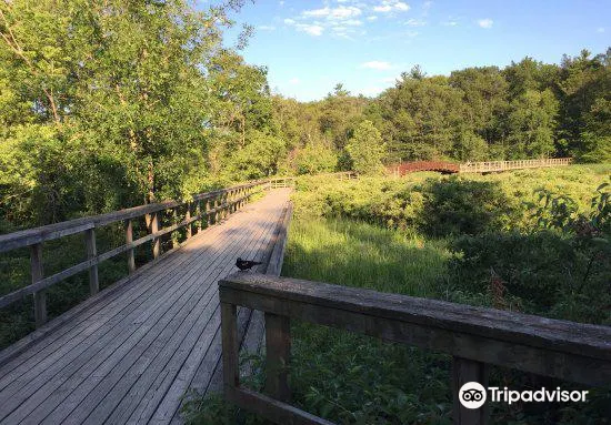 Cherry Hill Hiking Trails Cherry Hill Gate Attraction Reviews - Cherry Hill Gate Tickets - Cherry Hill  Gate Discounts - Cherry Hill Gate Transportation, Address, Opening Hours -  Attractions, Hotels, And Food Near Cherry Hill Gate - Trip.com