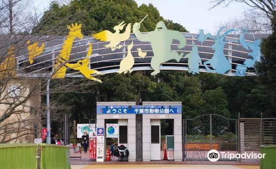 千葉市動物公園旅遊攻略指南 千葉市動物公園評價 千葉市動物公園附近推薦 Trip Com