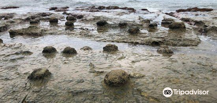 絶対に行くべき浜田の観光スポット トリップドットコム