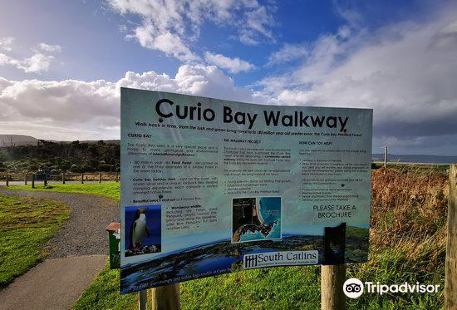 Curio Bay Natural Heritage Centre