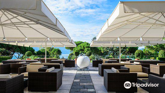 Lobby Lounge Au Beau Rivage Palace Reviews Food Drinks In Lausanne Trip Com
