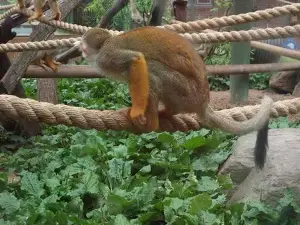清州動物園